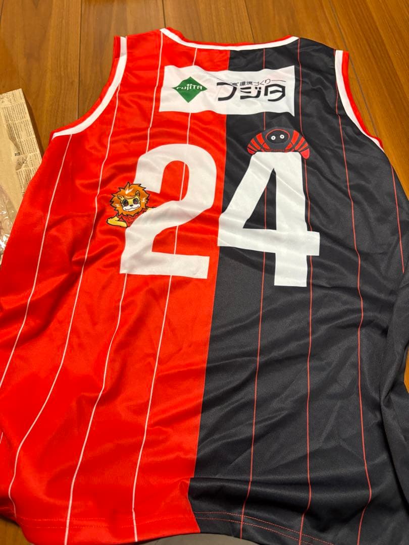 Mazda Skyactivs Hiroshima vs. Chugoku Electric Power Red Glions Original Basketball Jersey