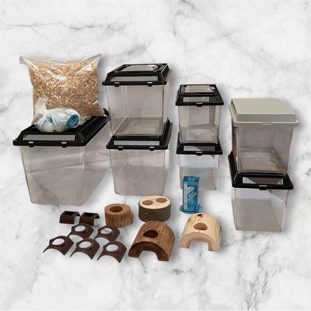 Insect breeding cases, used. 1 large, 2 medium, 4 small. Breeding supplies set.