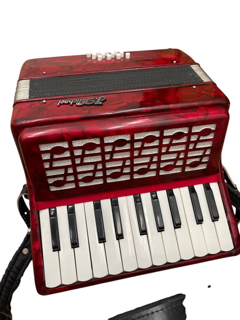 Niko-sama Accordion J. Michael