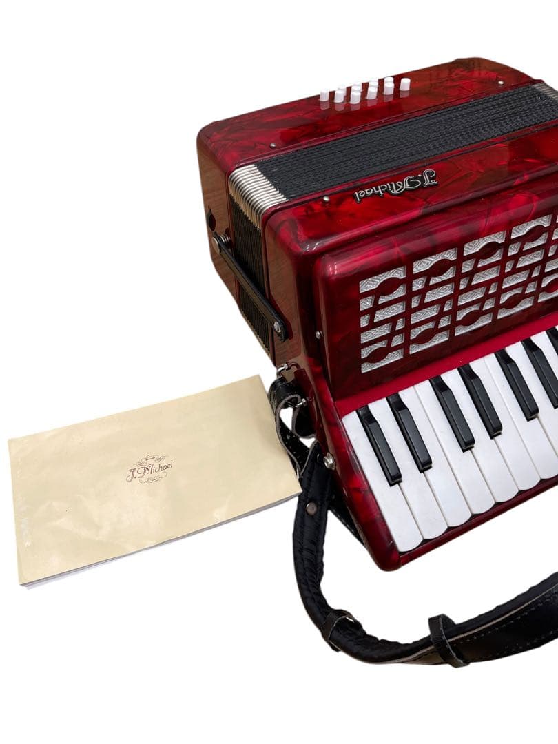 Niko-sama Accordion J. Michael