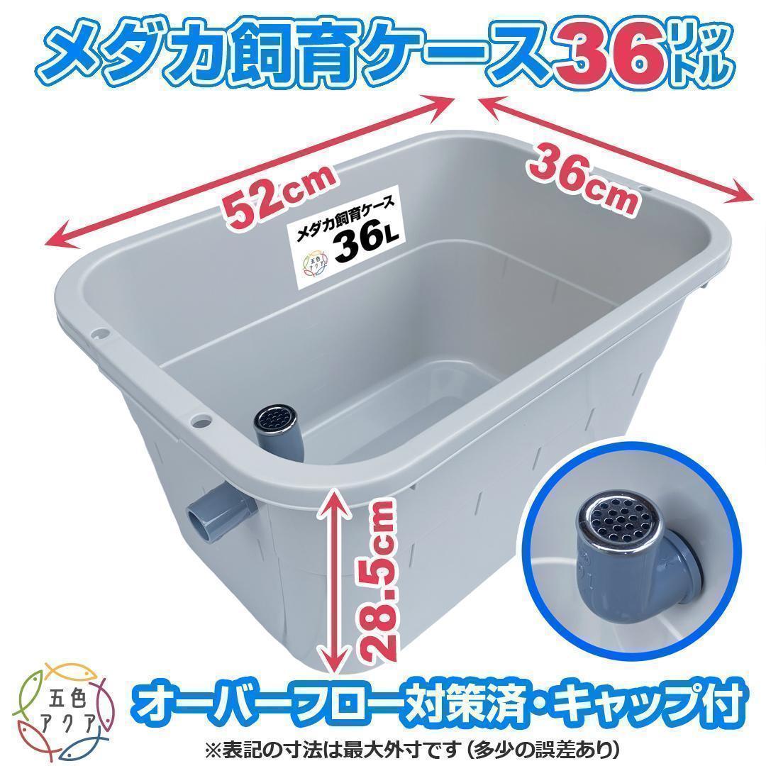 ↓↓ products