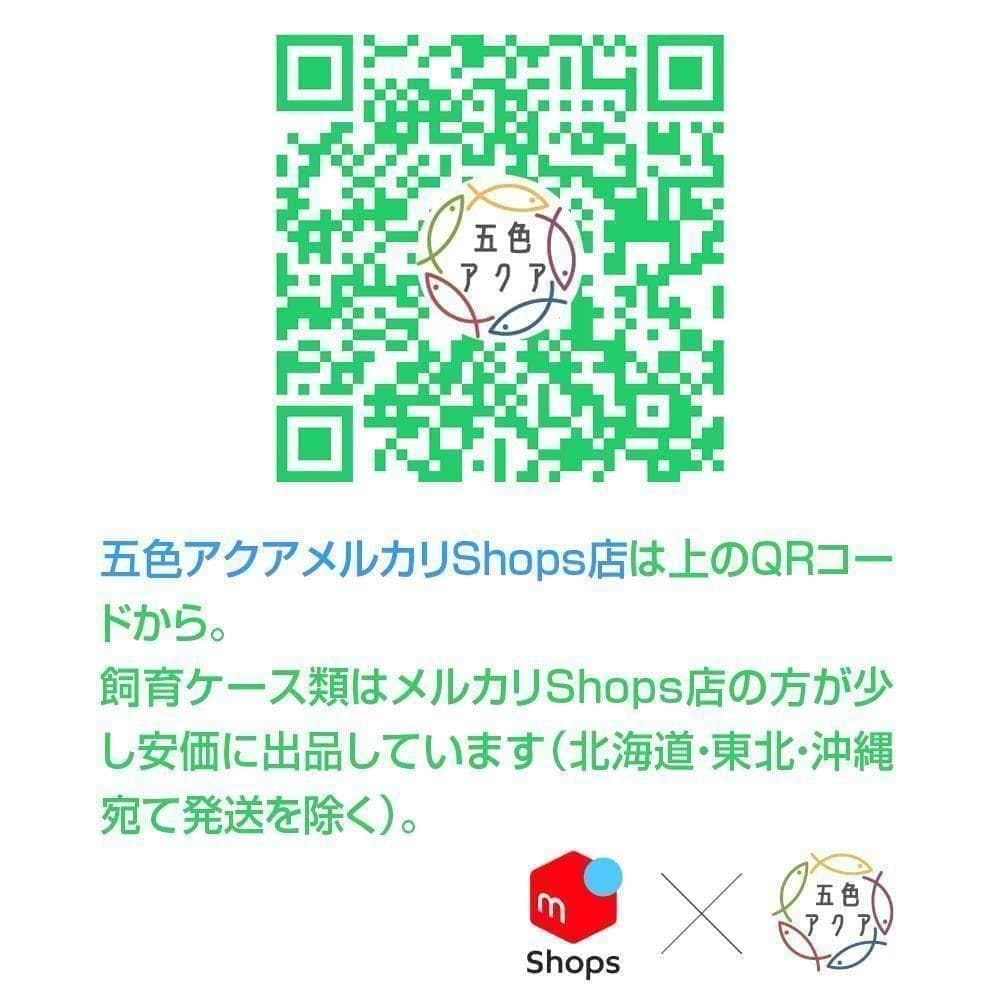 ↓↓ products