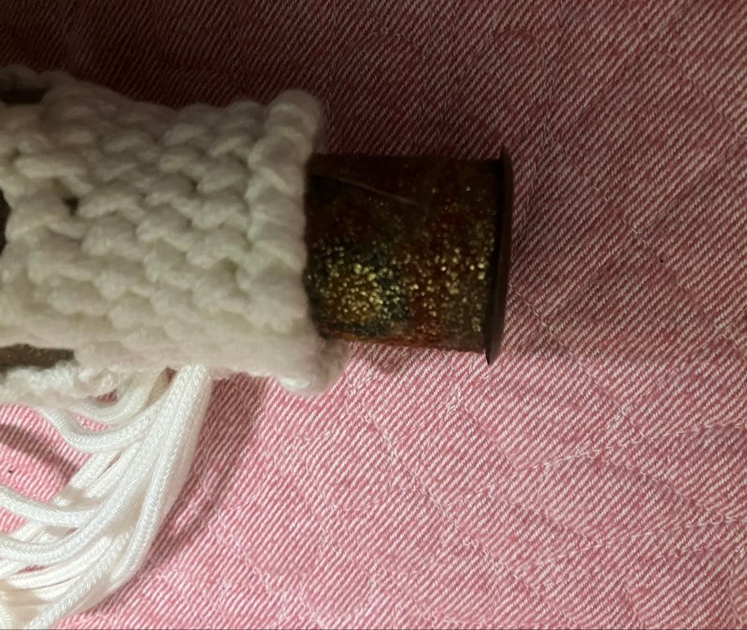 conch shell