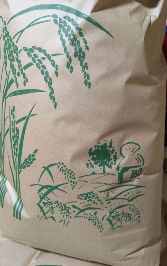 White Rice Koshihikari 2025 Harvest 1.5kg
