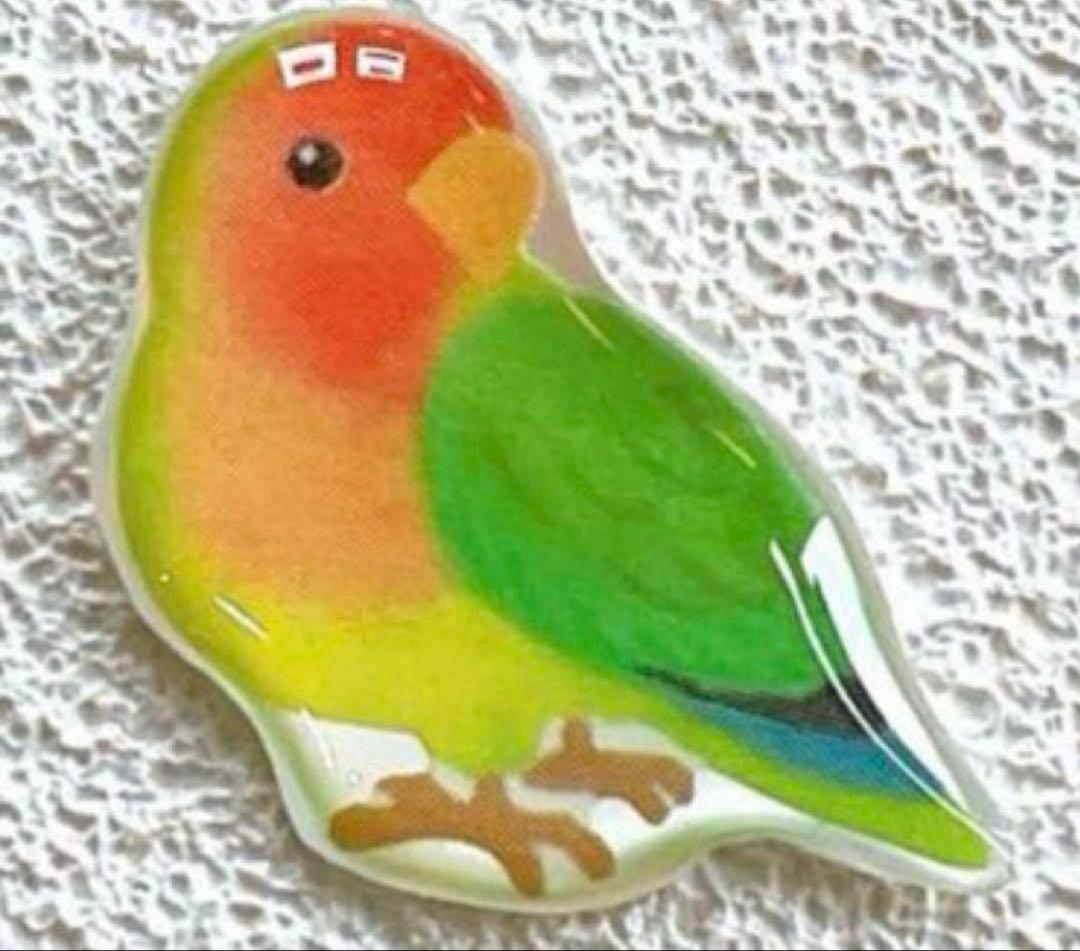 Fischer's Lovebird, Swindern's Lovebird, Lovebird, Budgie, Brooch, Charm