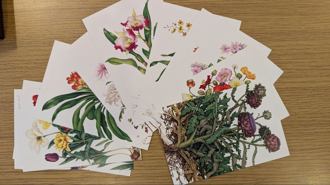Botanical Art Postcard Collection: 72 Seasons