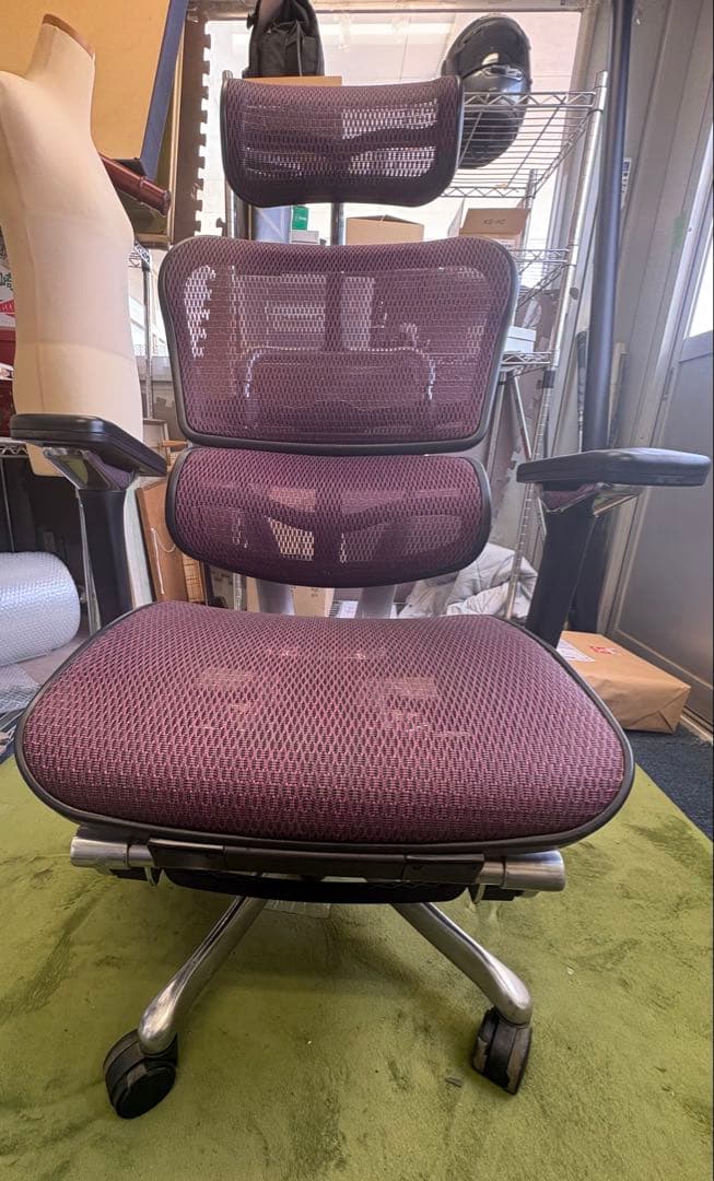 Special Price - Ergohuman Pro with Ottoman