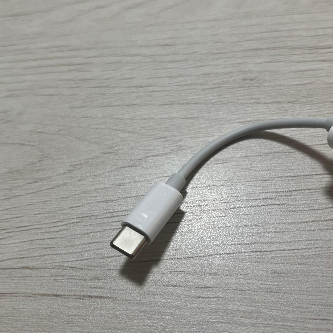 Lightning to USB-C Adapter Cable, White