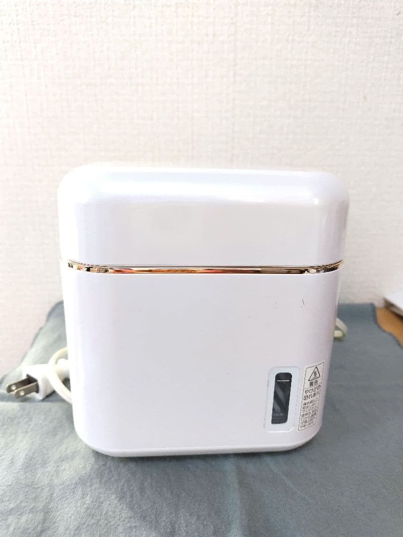 Twinbird Face Steamer White