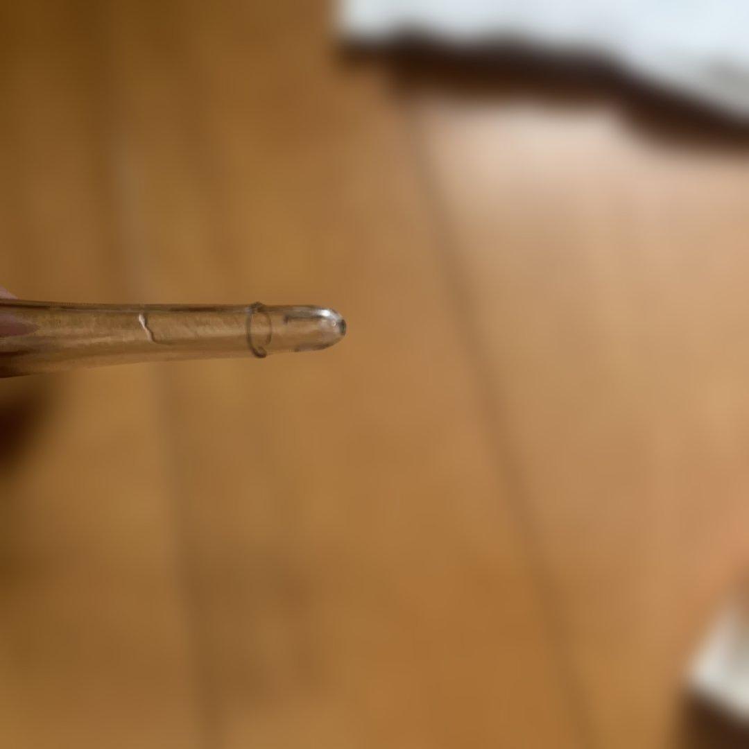 Digital Thermometer for Animals