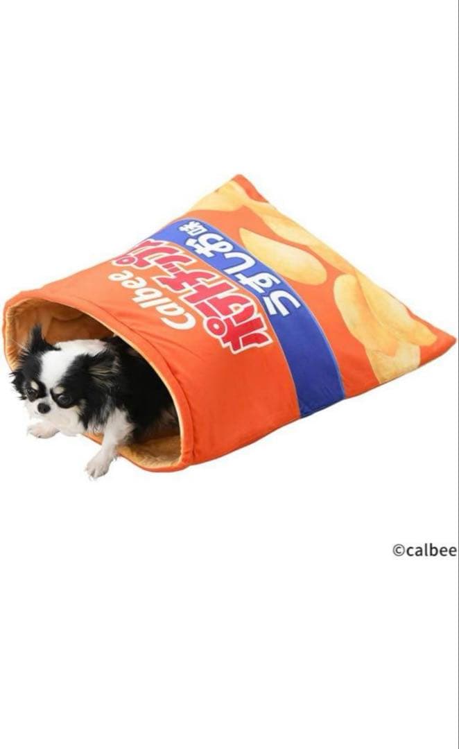 potato chip