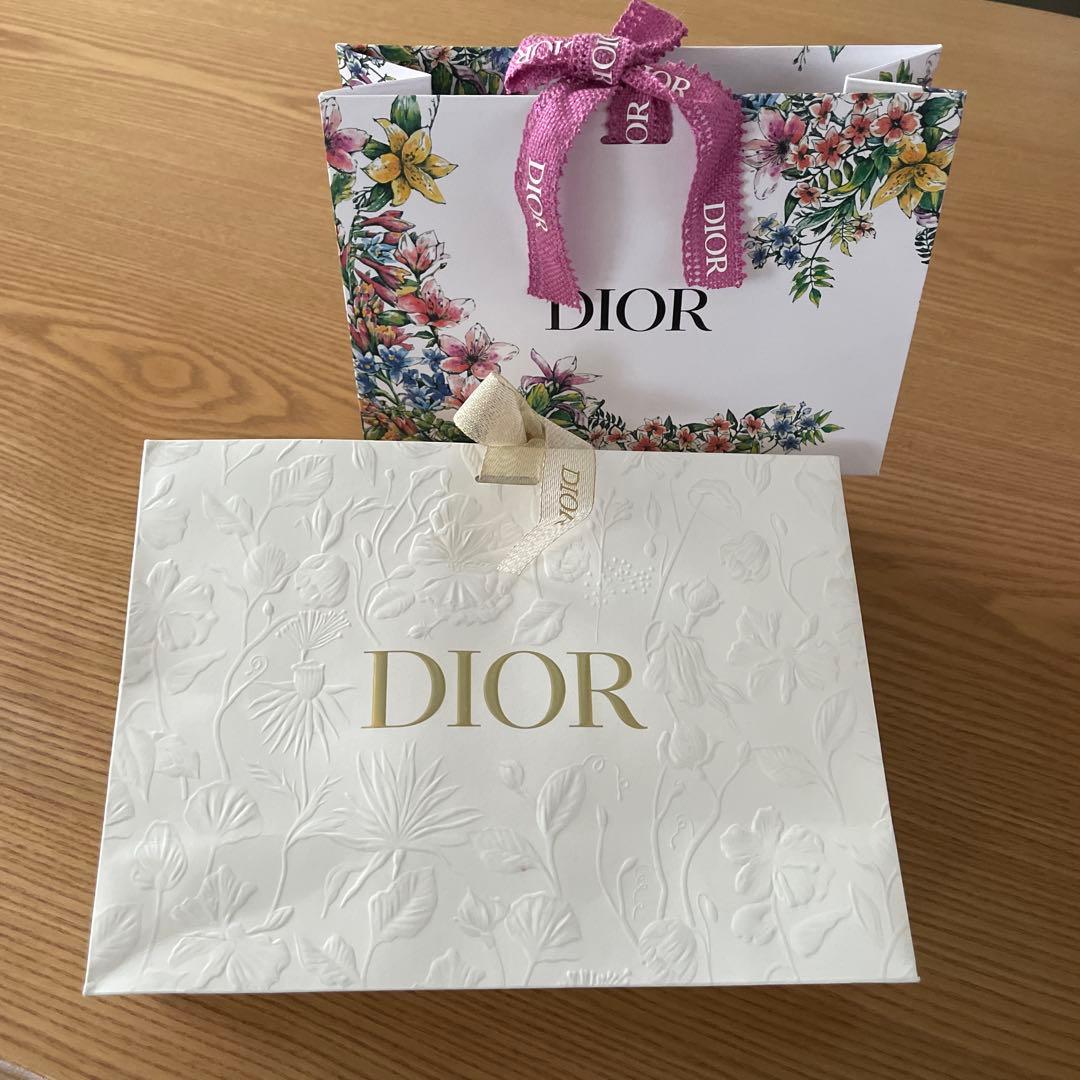 DIOR Paper Bag Set of 2