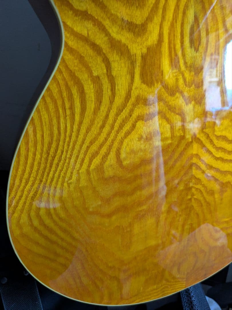 acoustic fretless