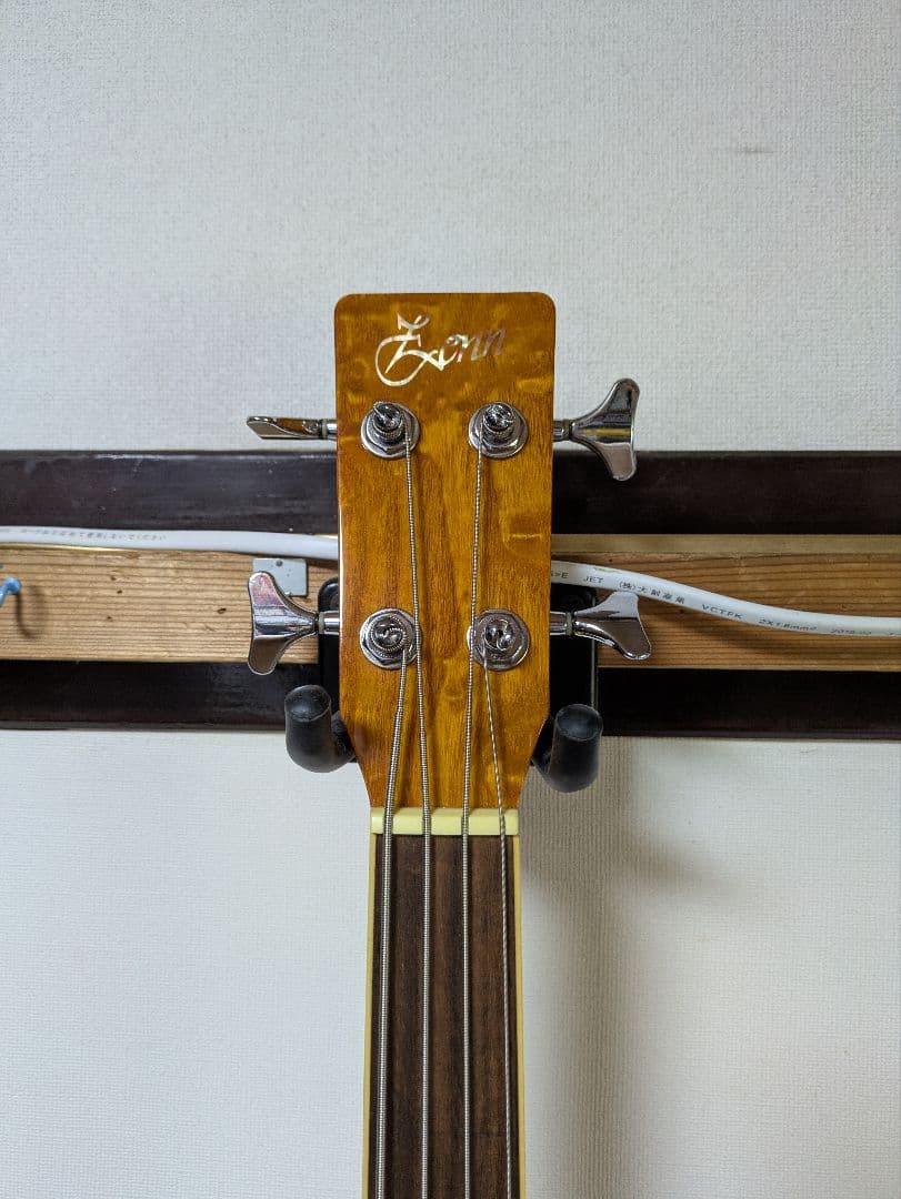 acoustic fretless