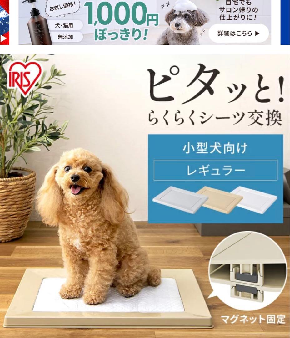 toilet training