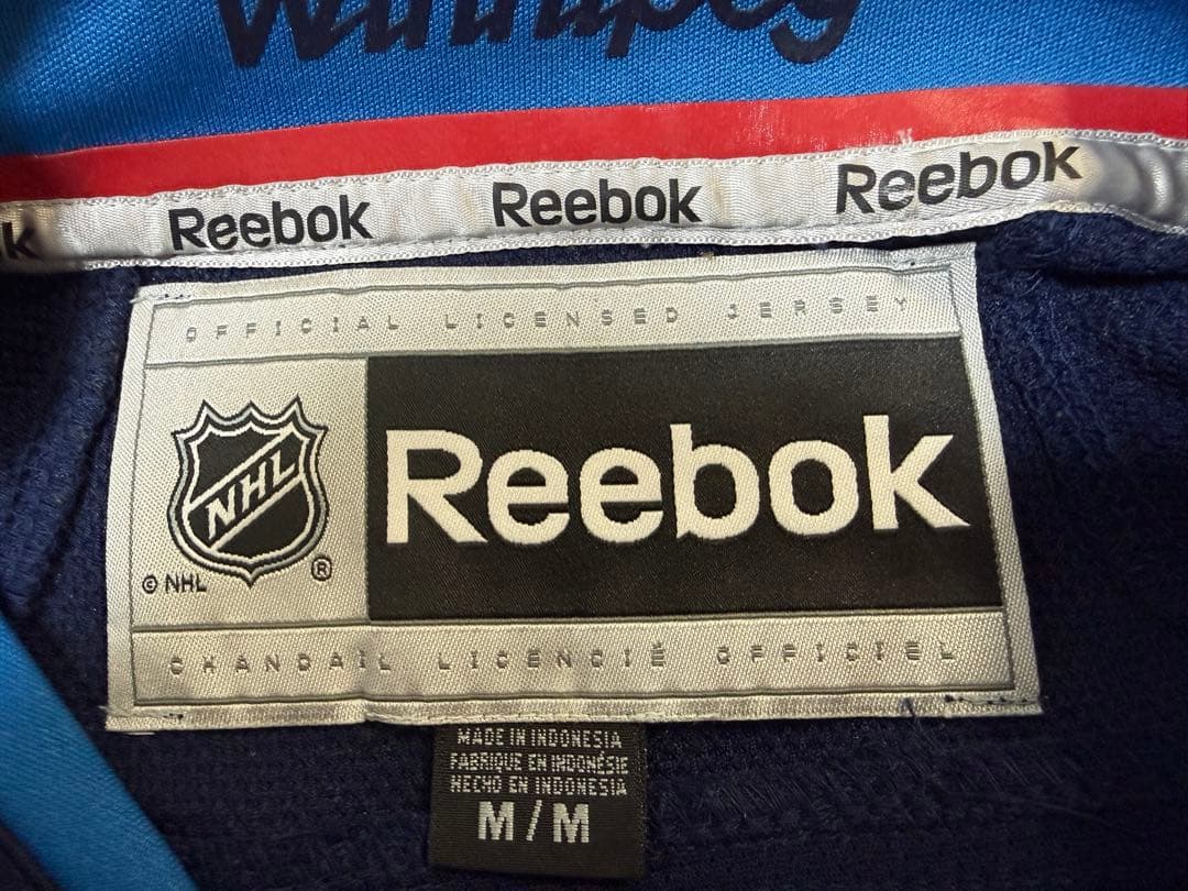 winnipeg jets