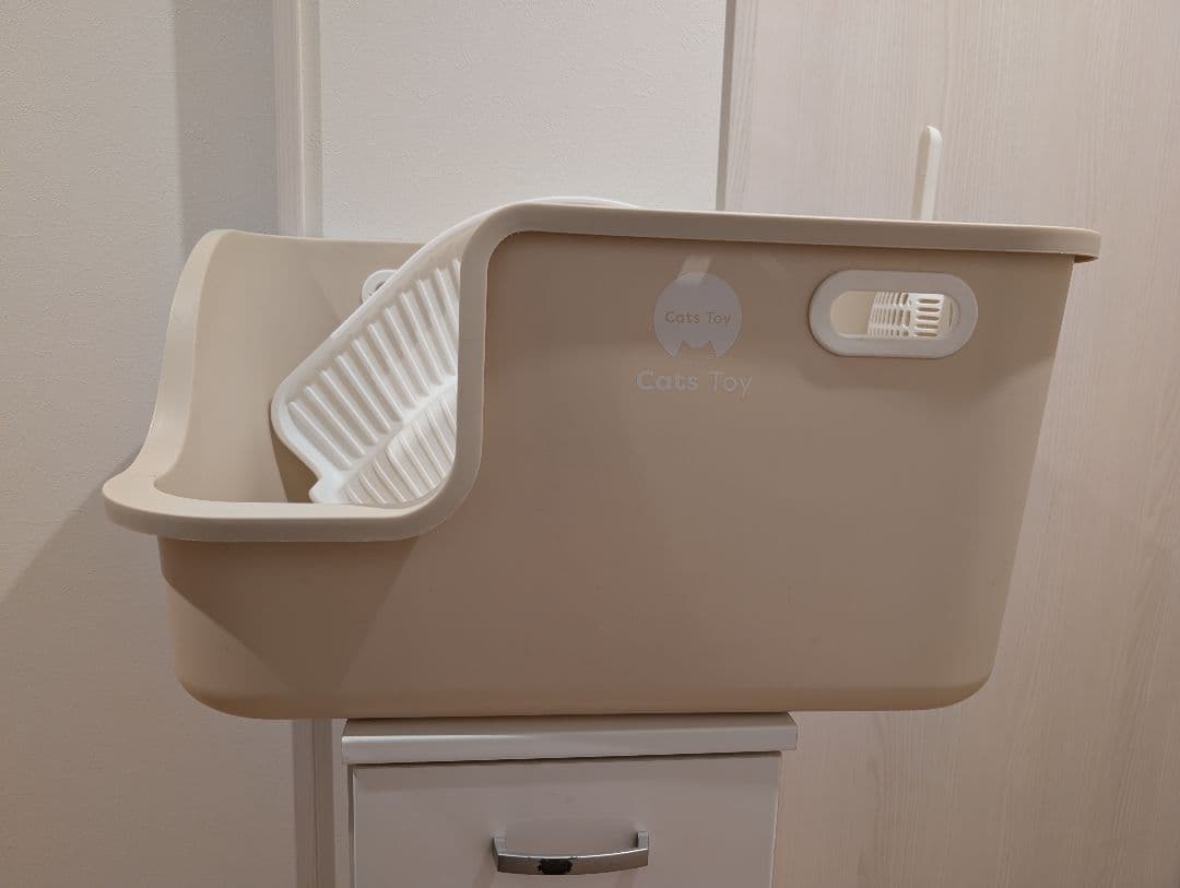 this large