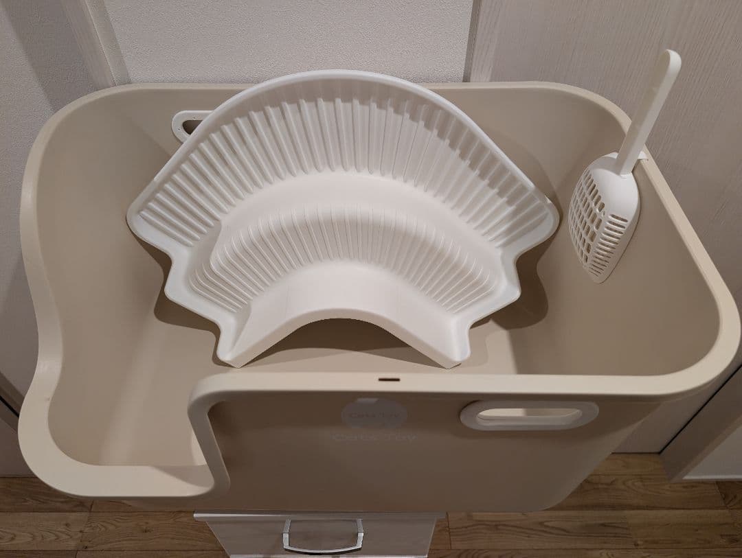 this large