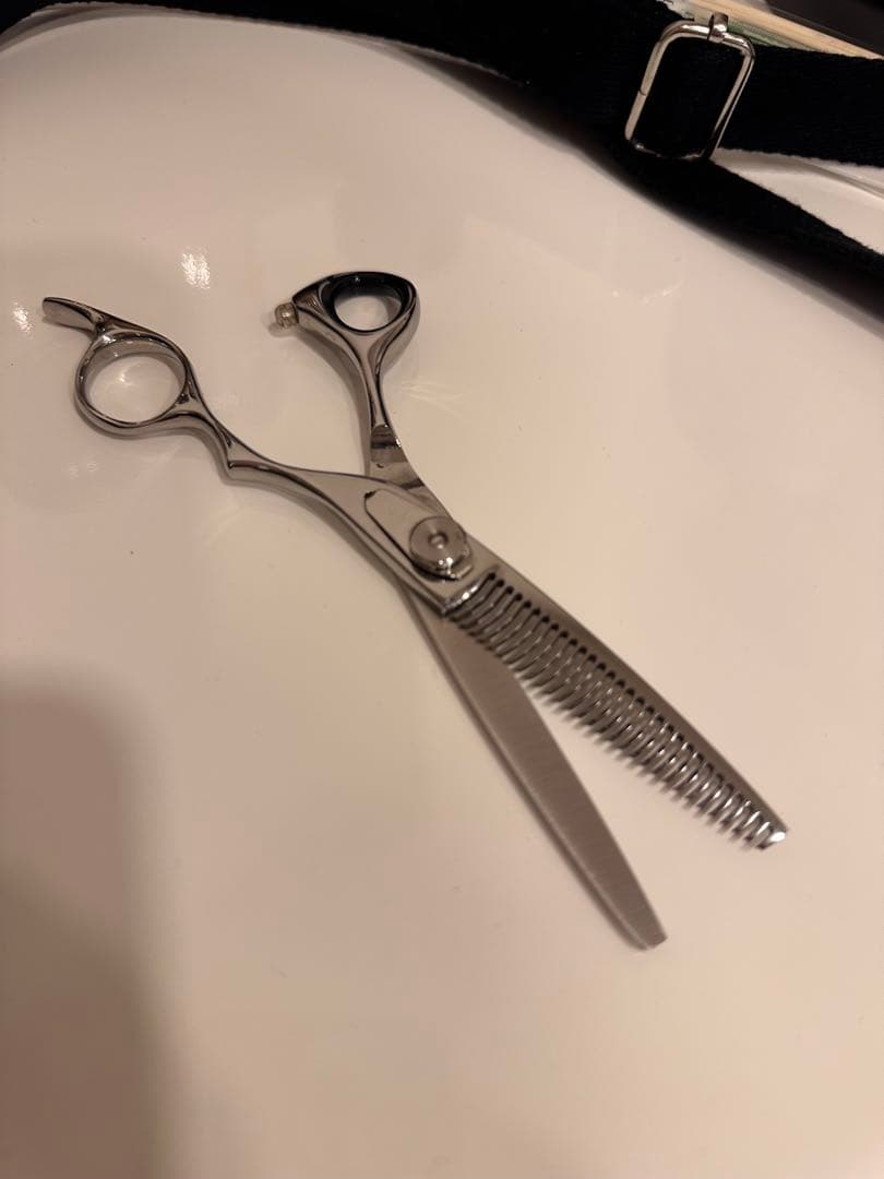 Thinning scissors, scissor case, dacron set