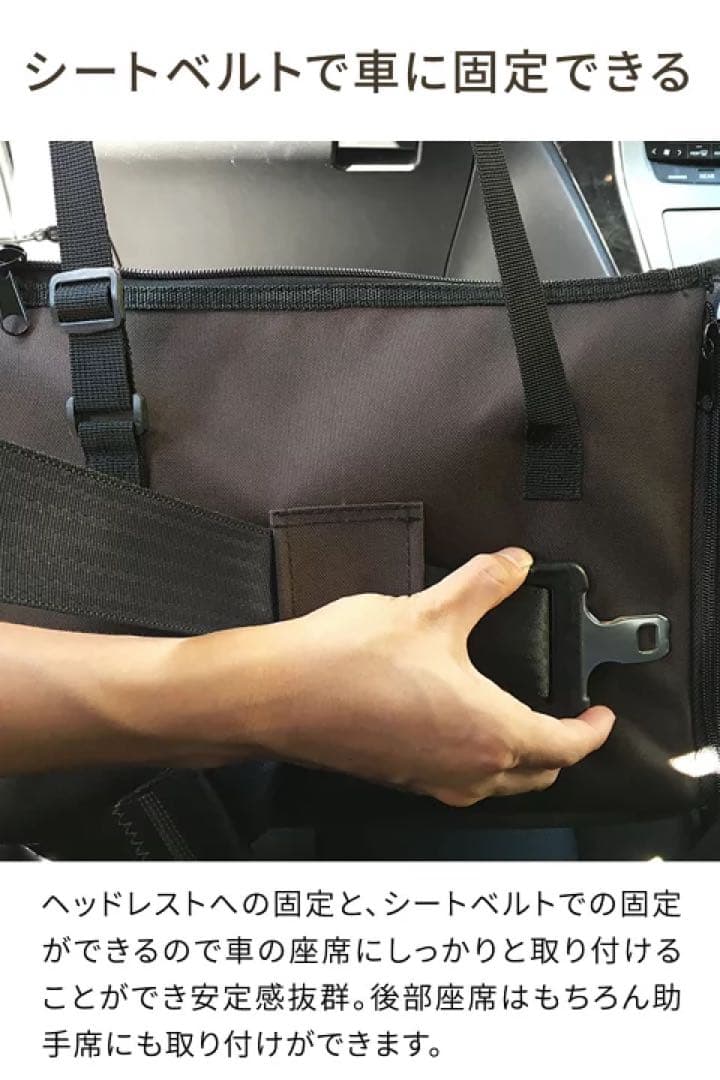 dog car