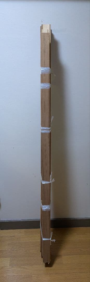 s100 size