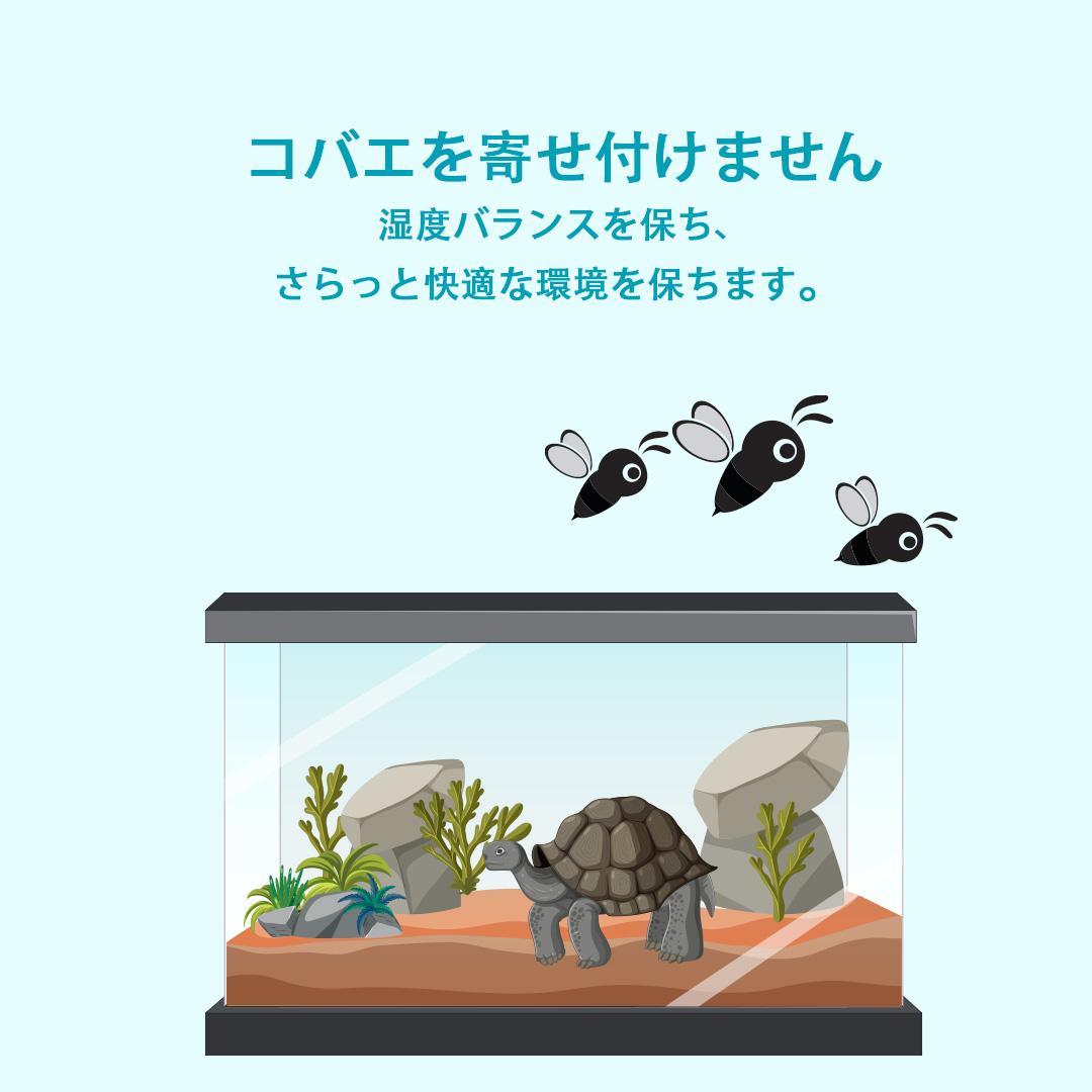 60cm pets