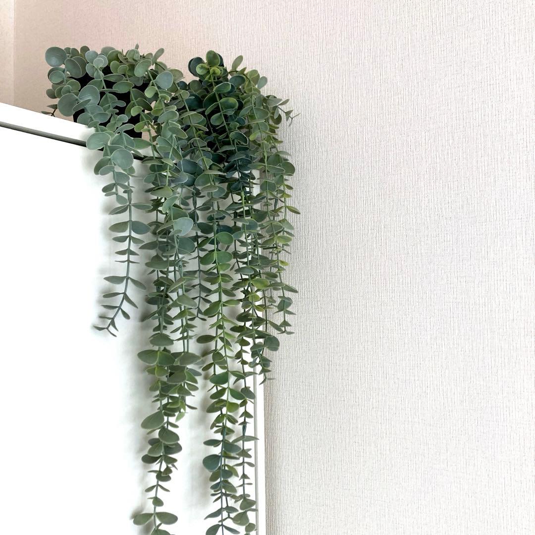 IKEA FEJKA Set of 2