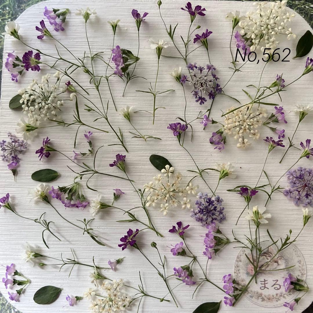 No. 562 Special Small Flower Mix Dried Flower Material