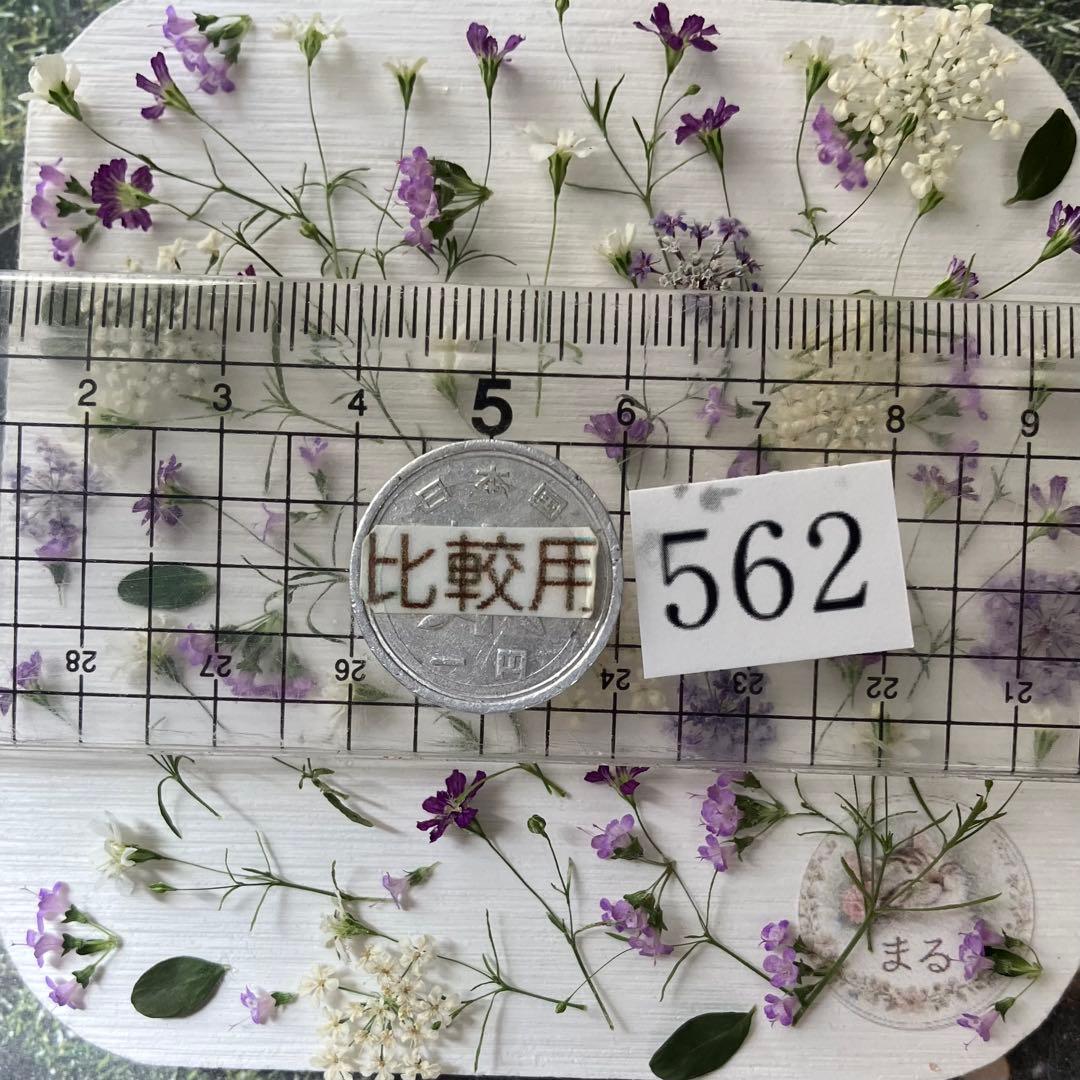 No. 562 Special Small Flower Mix Dried Flower Material