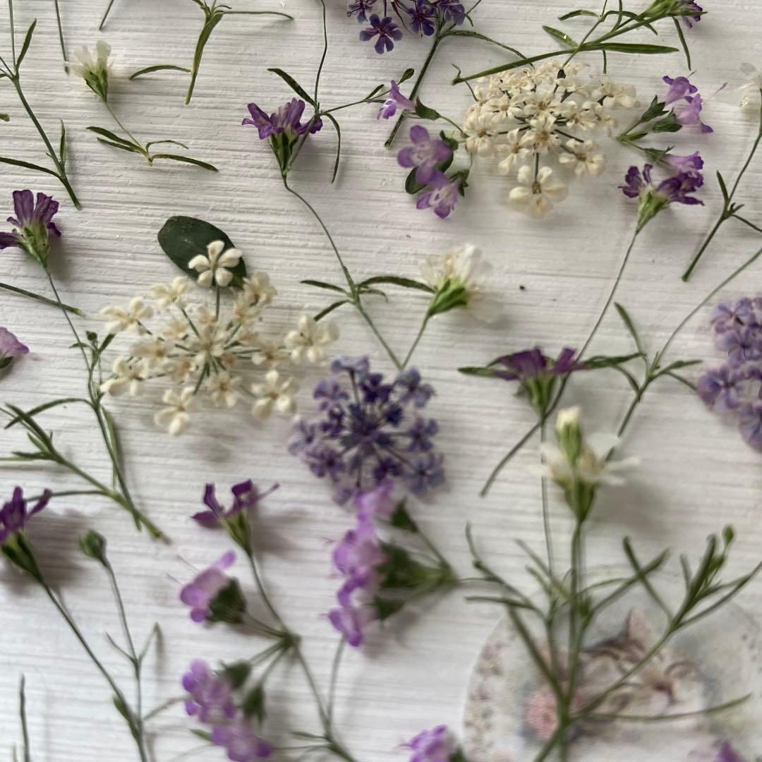 No. 562 Special Small Flower Mix Dried Flower Material