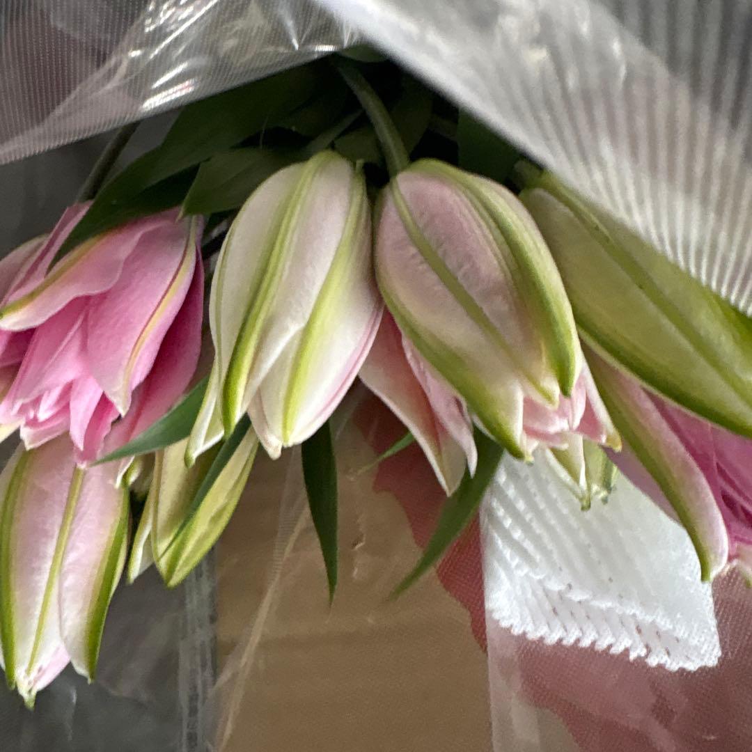 ⑤ Double-flowered Mixed Lily, 2-5 blooms per stem, 12 stems. Aisha, 3-5 blooms per stem, 7 stems. Kadango, Grade B, 2 blooms per stem, 5 stems.