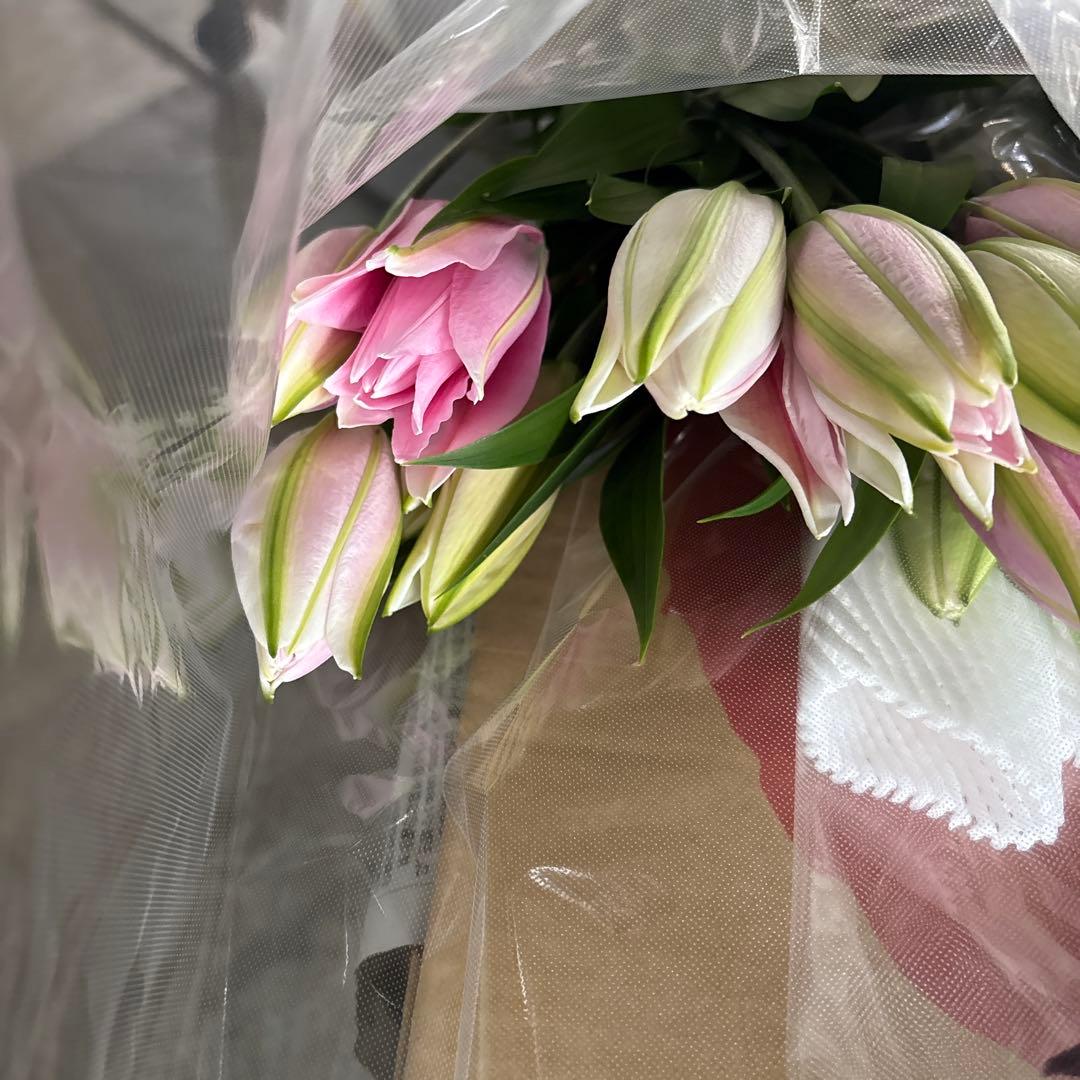 ⑤ Double-flowered Mixed Lily, 2-5 blooms per stem, 12 stems. Aisha, 3-5 blooms per stem, 7 stems. Kadango, Grade B, 2 blooms per stem, 5 stems.