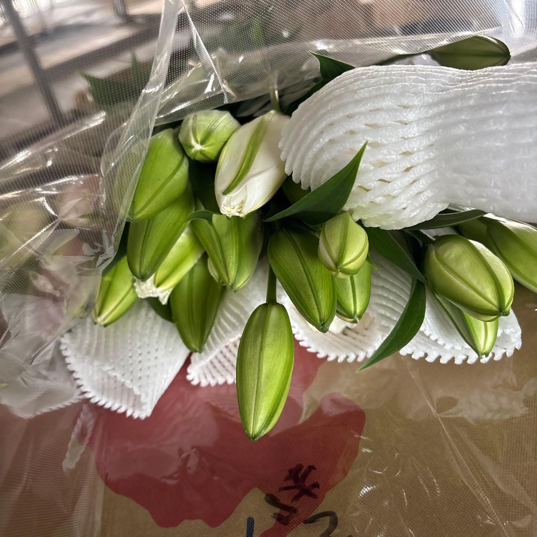 ⑤ Double-flowered Mixed Lily, 2-5 blooms per stem, 12 stems. Aisha, 3-5 blooms per stem, 7 stems. Kadango, Grade B, 2 blooms per stem, 5 stems.