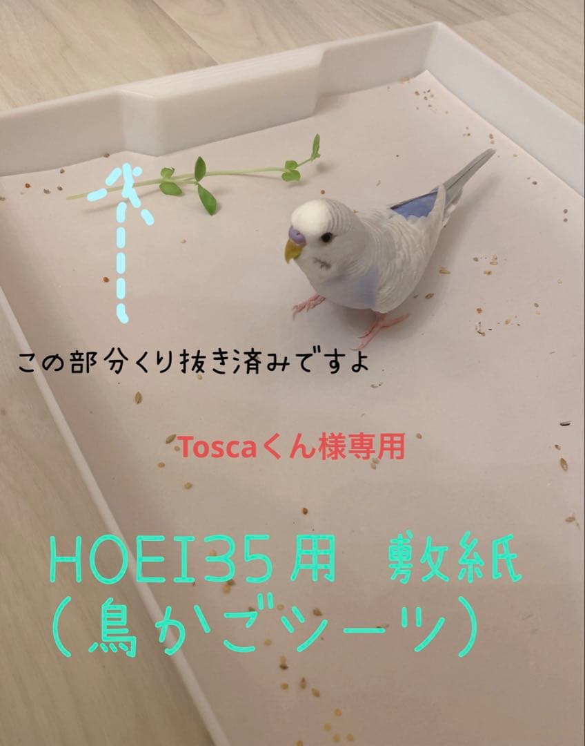 For Tosca-kun: Bird Cage Liner for HOEI 35